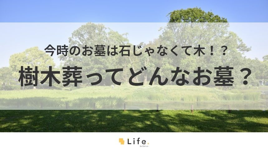 【樹木葬とは】アイキャッチ