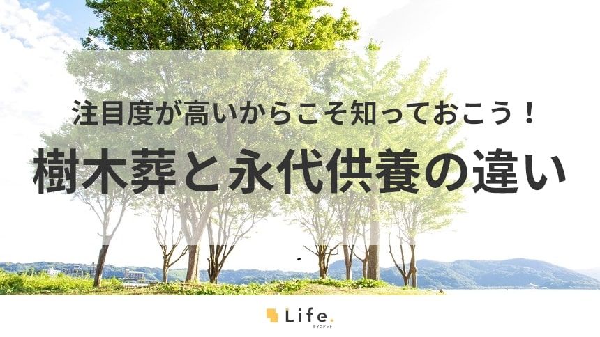 【樹木葬 永代供養】アイキャッチ