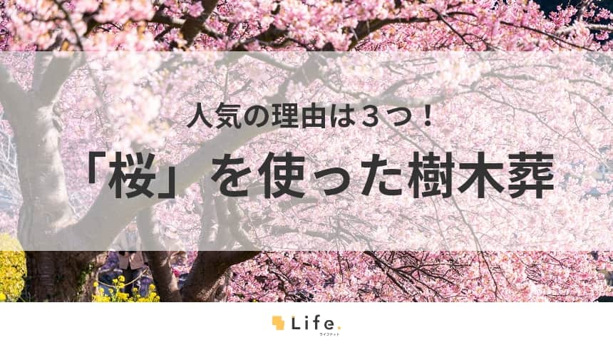 【樹木葬 桜】アイキャッチ