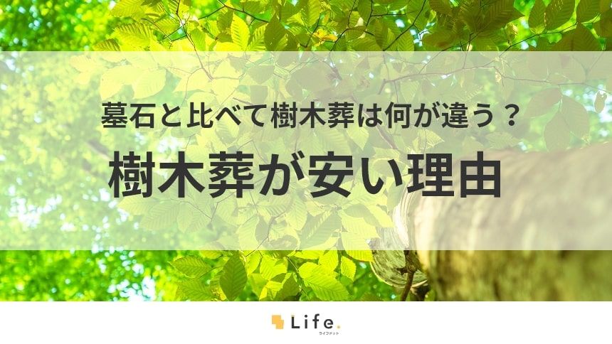 【樹木葬 安い】アイキャッチ