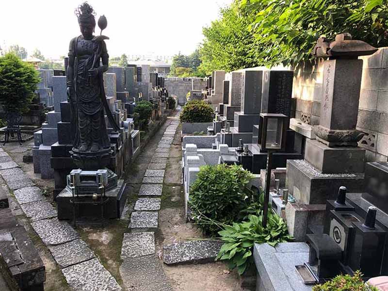 樹木葬の画像