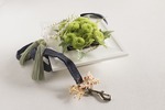 ペットの首輪と仏花