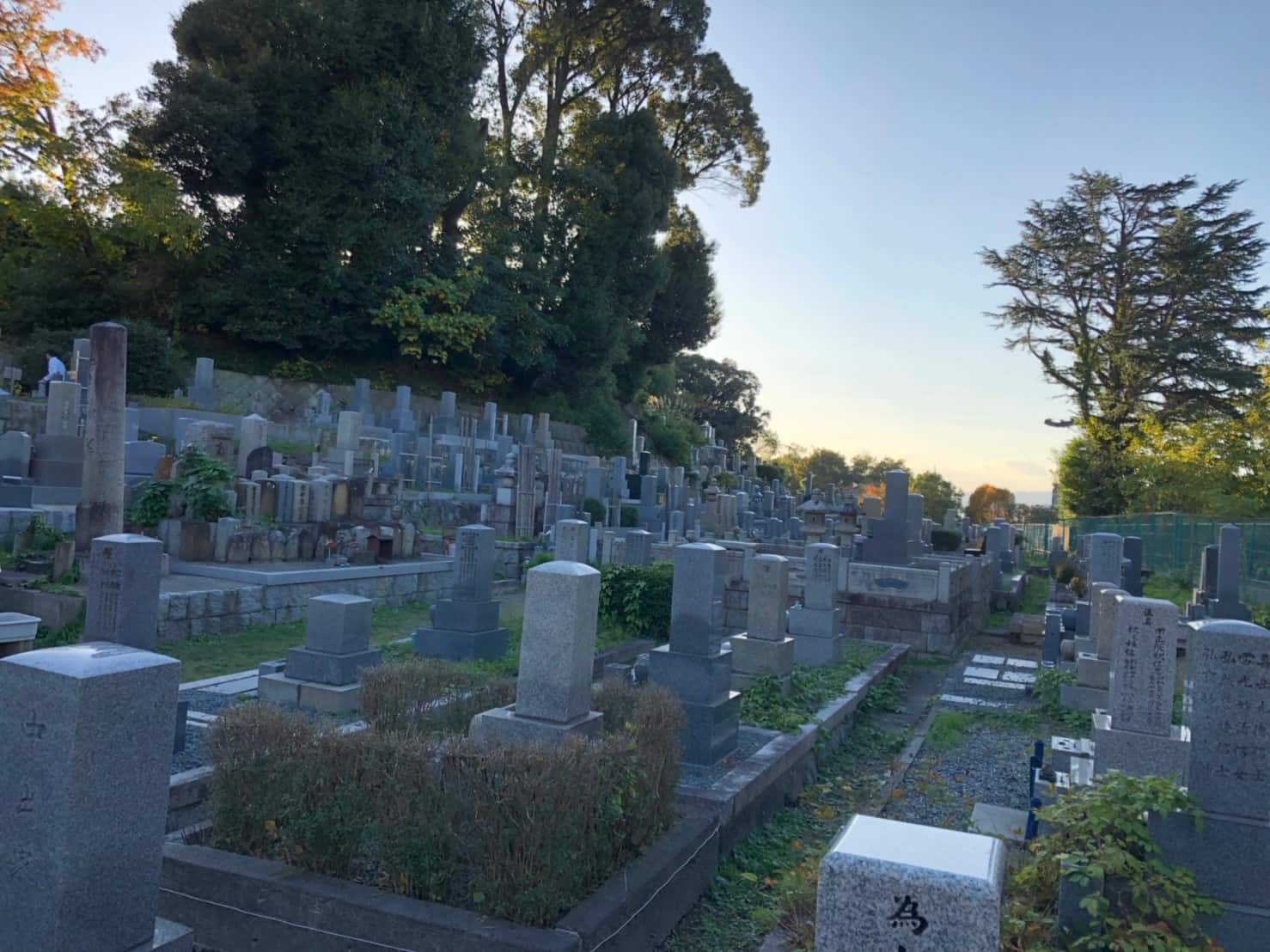 京都市営 地蔵山墓地の全体像