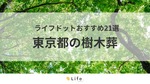 【東京 樹木葬】アイキャッチ画像