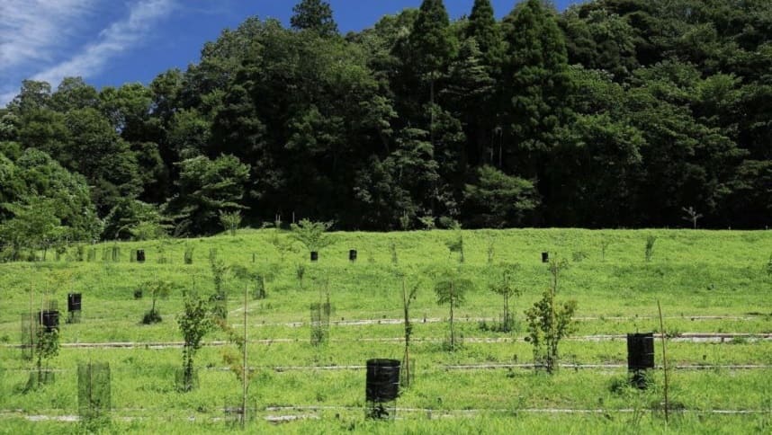 里山タイプ個別埋葬型の樹木葬