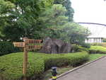 都立 多磨霊園_215