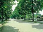 都立 多磨霊園_2400
