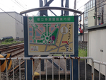 都立 多磨霊園_300