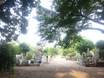 都立 多磨霊園_322