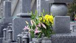 黄の仏花が供えられているお墓