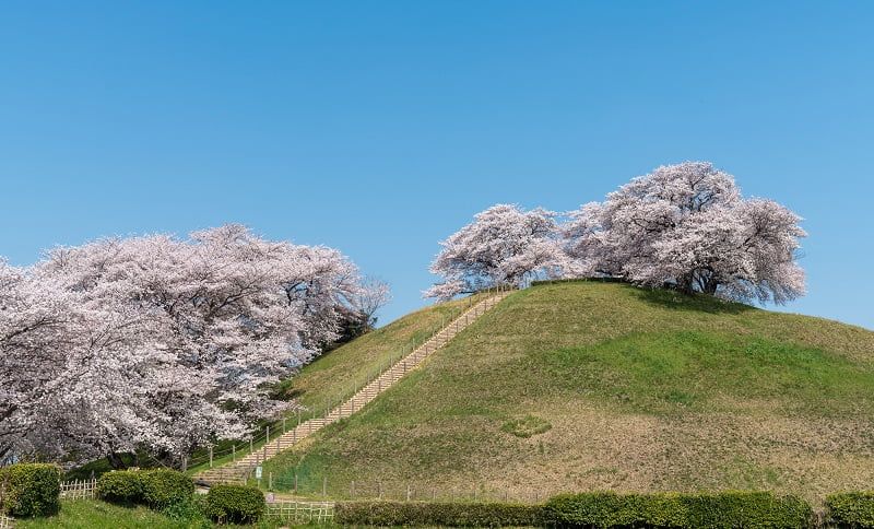 永代供養墓 古墳