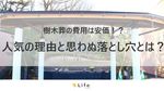 樹木葬